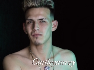 Cattleyanrey