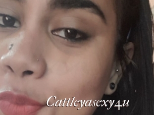 Cattleyasexy4u