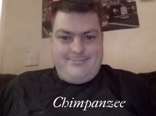 Chimpanzee