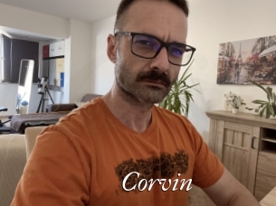 Corvin