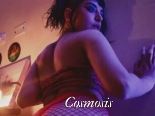 Cosmosis