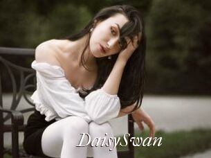DaisySwan