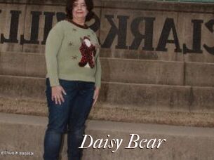 Daisy_Bear