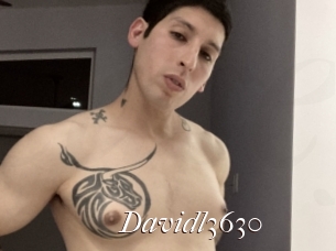 Davidl3630