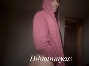 Dildoinmyass