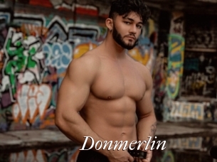 Donmerlin