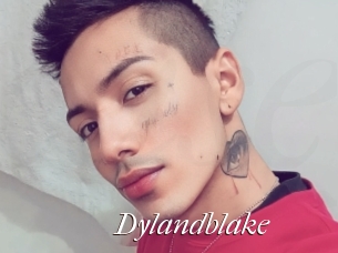 Dylandblake