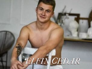 ELFIN_CEDAR