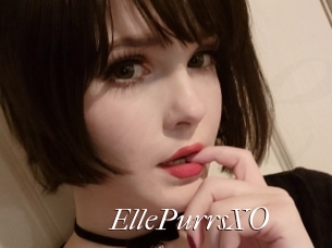 EllePurrsXO