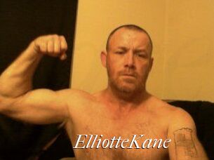 Elliotte_Kane