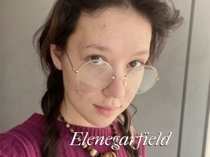 Elenegarfield