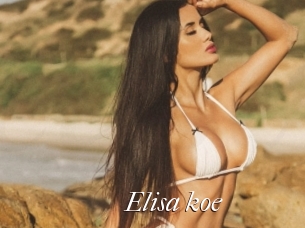 Elisa_koe