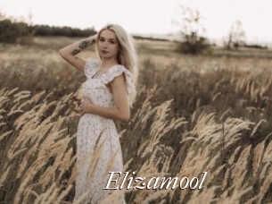 Elizamool