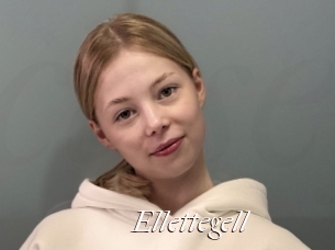 Ellettegell