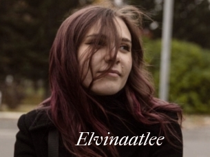 Elvinaatlee