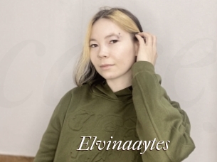 Elvinaaytes