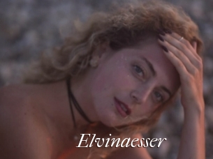 Elvinaesser