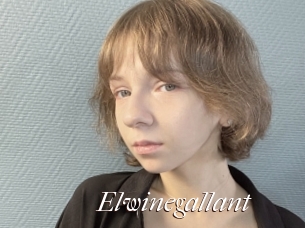 Elwinegallant
