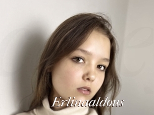 Erlinaaldous