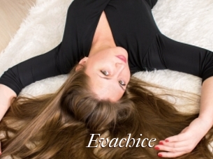 Evachice