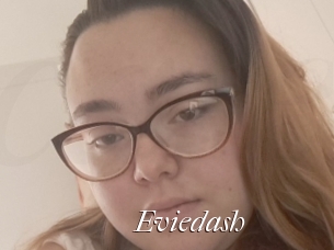 Eviedash