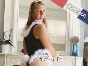 Feline18