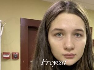 Freycat