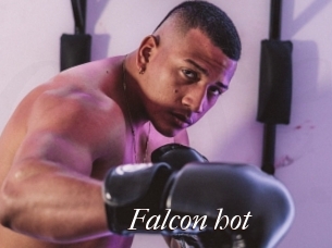 Falcon_hot