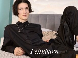 Felixburn