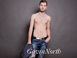 GavinNorth