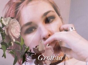 Grothia