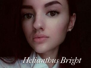 Helianthus_Bright