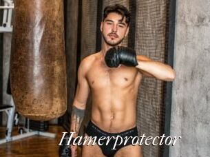 Hamerprotector