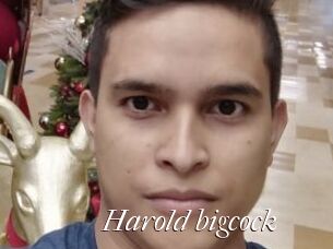 Harold_bigcock