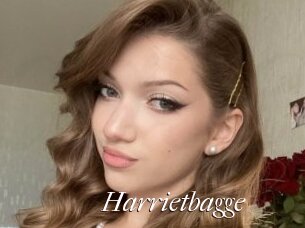 Harrietbagge