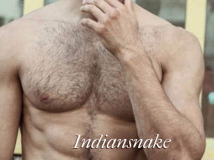 Indiansnake