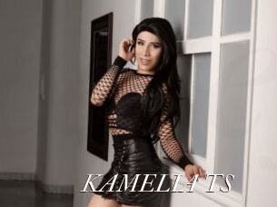 KAMELIA_TS