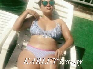 KARLEY_tranny