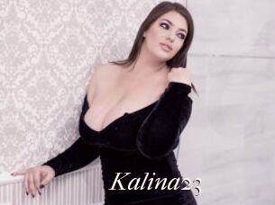 Kalina23