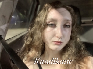 Kandikatie