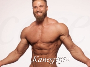 Kanegriffin