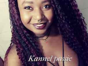 Kannel_passie