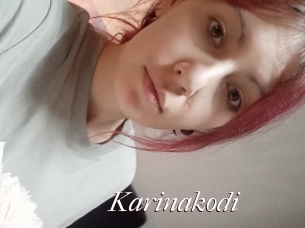 Karinakodi