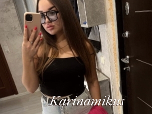 Karinamikus