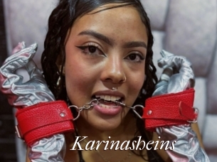 Karinasheins