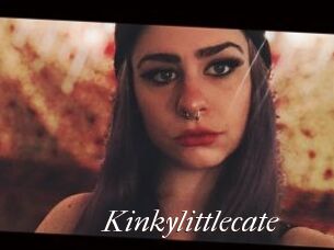 Kinkylittlecate