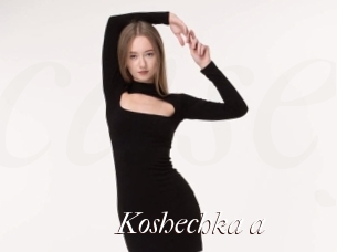 Koshechka_a