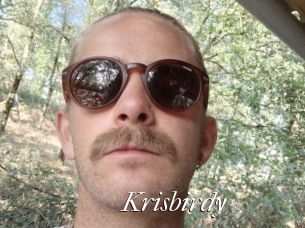 Krisbirdy