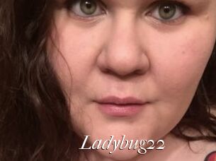 Ladybug22