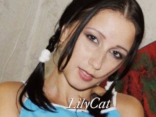 Lily_Cat_